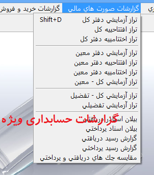 24_گزارشات ویژه مالی و حسابداری